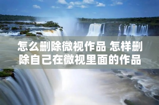 怎么删除微视作品 怎样删除自己在微视里面的作品