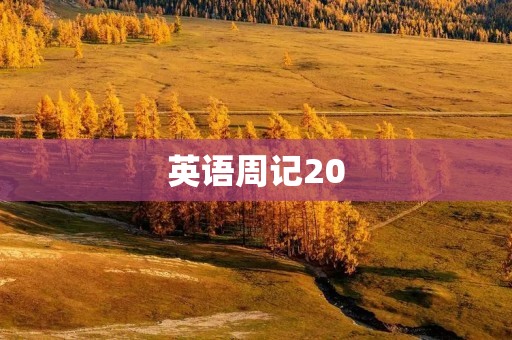 英语周记20：我与语言的故事