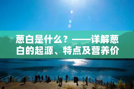 葱白是什么？——详解葱白的起源、特点及营养价值