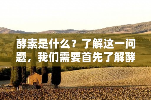 酵素是什么？了解这一问题，我们需要首先了解酵素的定义。酵素，也被称为生物催化剂，是一种由生物体内部分泌的蛋白质，具有非常重要的生物学功能。酵素能够加速生物体内化学反应的速度，从而使得生物体能够更加高效地完成一系列生命活动。