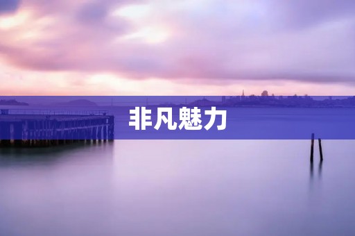 非凡魅力:如何在人生路上熠熠生辉 非凡魅力:如何在人生路上熠熠生辉
