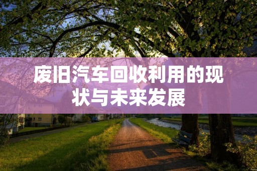 废旧汽车回收利用的现状与未来发展 废旧汽车回收利用的现状与未来发展