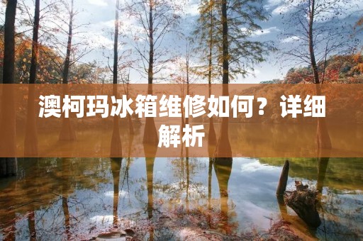 澳柯玛冰箱维修如何?详细解析 澳柯玛冰箱维修如何?详细解析