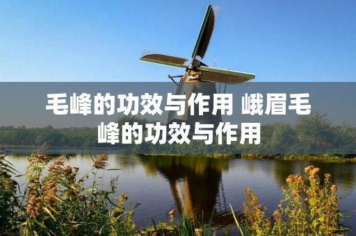 毛峰的功效与作用 峨眉毛峰的功效与作用