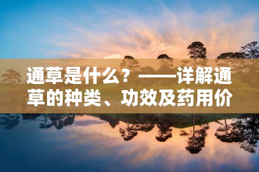 通草是什么?——详解通草的种类、功效及药用价值 通草是什么?——详解通草的种类、功效及药用价值