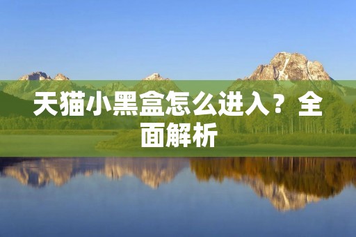 天猫小黑盒怎么进入?全面解析 天猫小黑盒怎么进入?全面解析