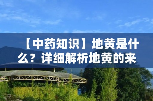 【中药知识】地黄是什么?详细解析地黄的来源、功效及用法 【中药知识】地黄是什么?详细解析地黄的来源、功效及用法