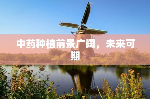 中药种植前景广阔,未来可期