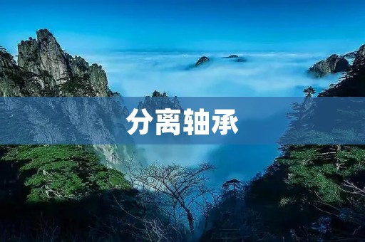 分离轴承：解决机械运动中的难题