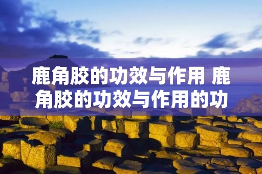 鹿角胶的功效与作用 鹿角胶的功效与作用的功能与主治