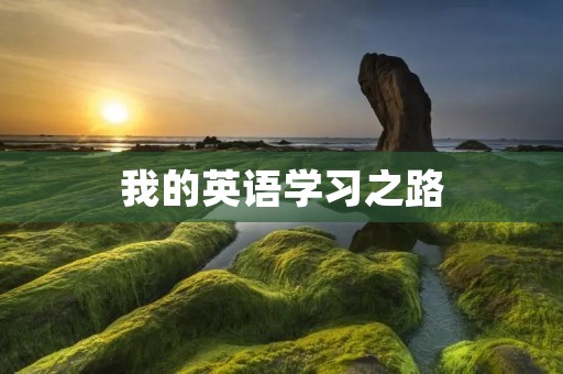 我的英语学习之路
