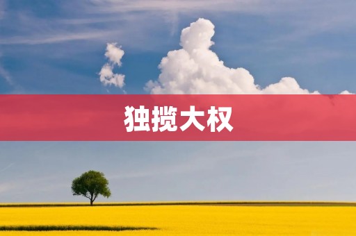 独揽大权:权力的诱惑与挑战 独揽大权:权力的诱惑与挑战