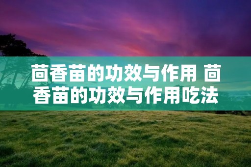 茴香苗的功效与作用 茴香苗的功效与作用吃法大全图片