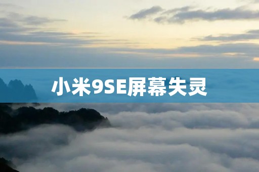 小米9SE屏幕失灵：如何解决？