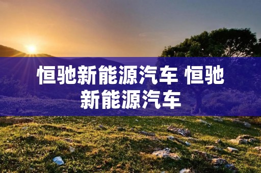恒驰新能源汽车 恒驰新能源汽车