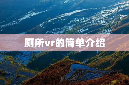 厕所vr的简单介绍