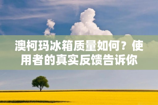 澳柯玛冰箱质量如何?使用者的真实反馈告诉你!