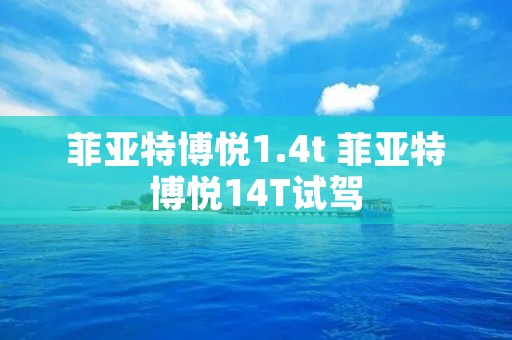 菲亚特博悦1.4t 菲亚特博悦14T试驾
