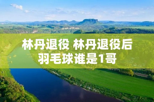 林丹退役 林丹退役后羽毛球谁是1哥