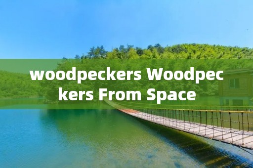 woodpeckers Woodpeckers From Space