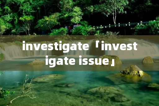 investigate「investigate issue」
