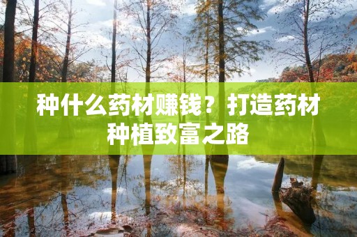 种什么药材赚钱?打造药材种植致富之路