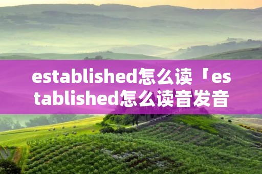 established怎么读「established怎么读音发音」