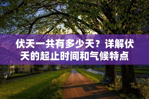 伏天一共有多少天?详解伏天的起止时间和气候特点