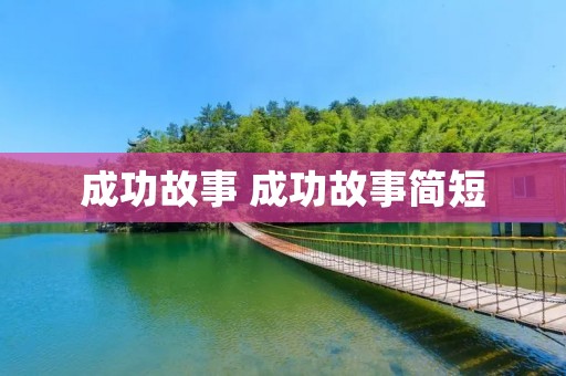 成功故事 成功故事简短