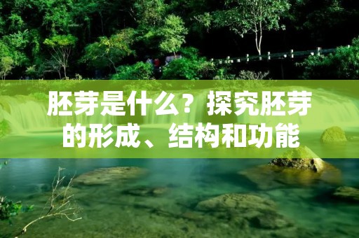 胚芽是什么?探究胚芽的形成、结构和功能 胚芽是什么?探究胚芽的形成、结构和功能