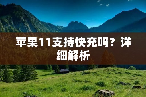 苹果11支持快充吗?详细解析 苹果11支持快充吗?详细解析