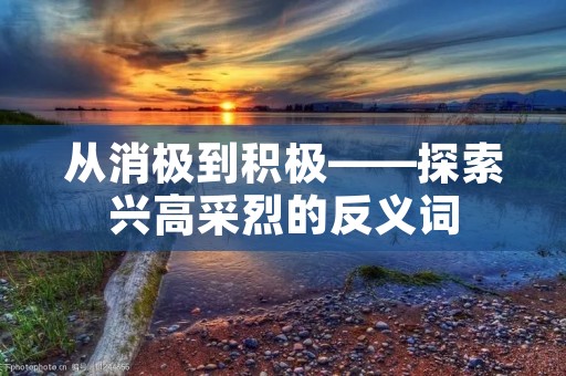 从消极到积极——探索兴高采烈的反义词
