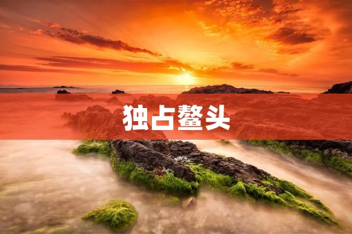 独占鳌头：如何成为市场领袖