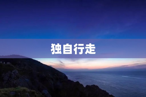 独自行走:探索内心的旅程 独自行走:探索内心的旅程