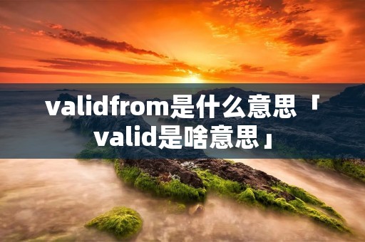validfrom是什么意思「valid是啥意思」