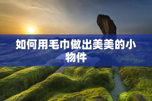 如何用毛巾做出美美的小物件