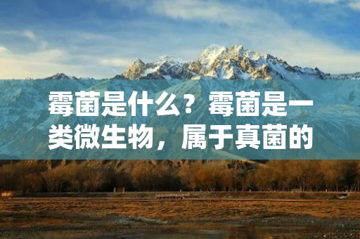 霉菌是什么？霉菌是一类微生物，属于真菌的一种。它们在自然界中广泛分布，可以生长在空气、水、土壤、植物、动物等各种环境中。霉菌具有一定的生物活性，可以分解有机物质、产生酶、抗生素等物质，同时也会对人体和环境产生一定的危害。