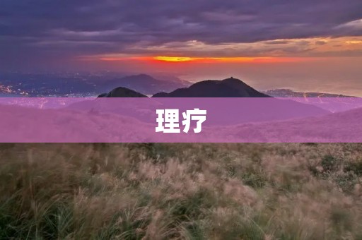理疗:你需要知道的一切 理疗:你需要知道的一切