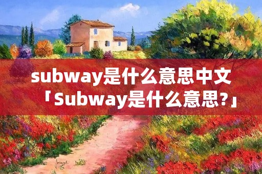 subway是什么意思中文「Subway是什么意思?」