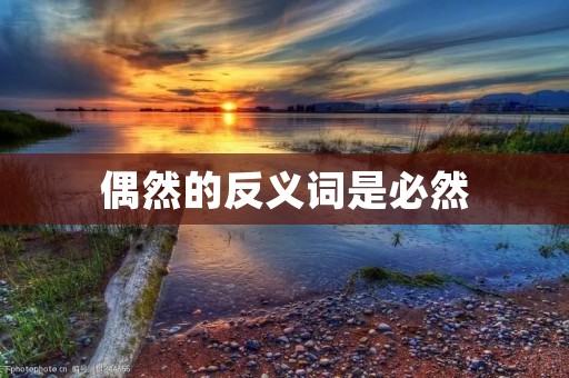偶然的反义词是必然