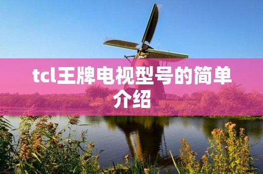 tcl王牌电视型号的简单介绍