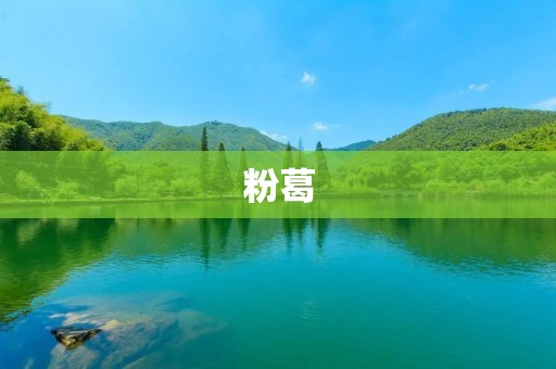 粉葛:一种有着丰富营养价值的食材 粉葛:一种有着丰富营养价值的食材