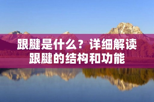 跟腱是什么？详细解读跟腱的结构和功能