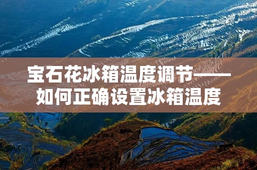 宝石花冰箱温度调节——如何正确设置冰箱温度 宝石花冰箱温度调节——如何正确设置冰箱温度