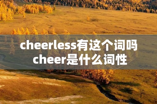 cheerless有这个词吗 cheer是什么词性