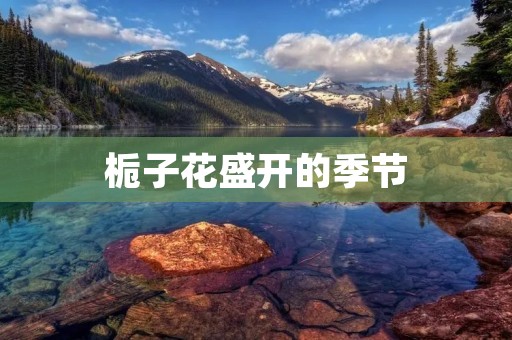 栀子花盛开的季节