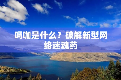 吗咖是什么?破解新型网络*** 吗咖是什么?破解新型网络***