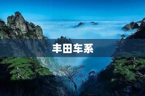 丰田车系：一流品质的代表