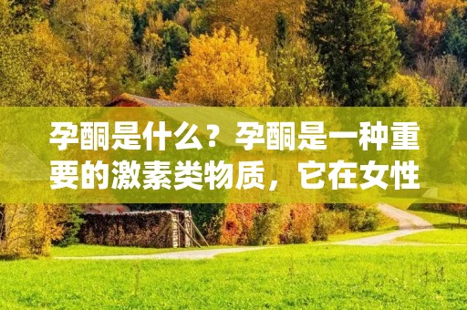 孕酮是什么?孕酮是一种重要的激素类物质,它在女性身体中起着至关重要的作用。在女性生殖系统中,孕酮的主要作用是维持妊娠,促进孕期健康发育,同时还能保护女性生殖系统的健康。孕酮在男性身体中也有一定作用,但相对较少。 孕酮是什么?孕酮是一种重要的激素类物质,它在女性身体中起着至关重要的作用。在女性生殖系统中,孕酮的主要作用是维持妊娠,促进孕期健康发育,同时还能保护女性生殖系统的健康。孕酮在男性身体中也有一定作用,但相对较少。