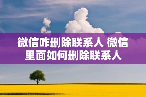 微信咋删除联系人 微信里面如何删除联系人